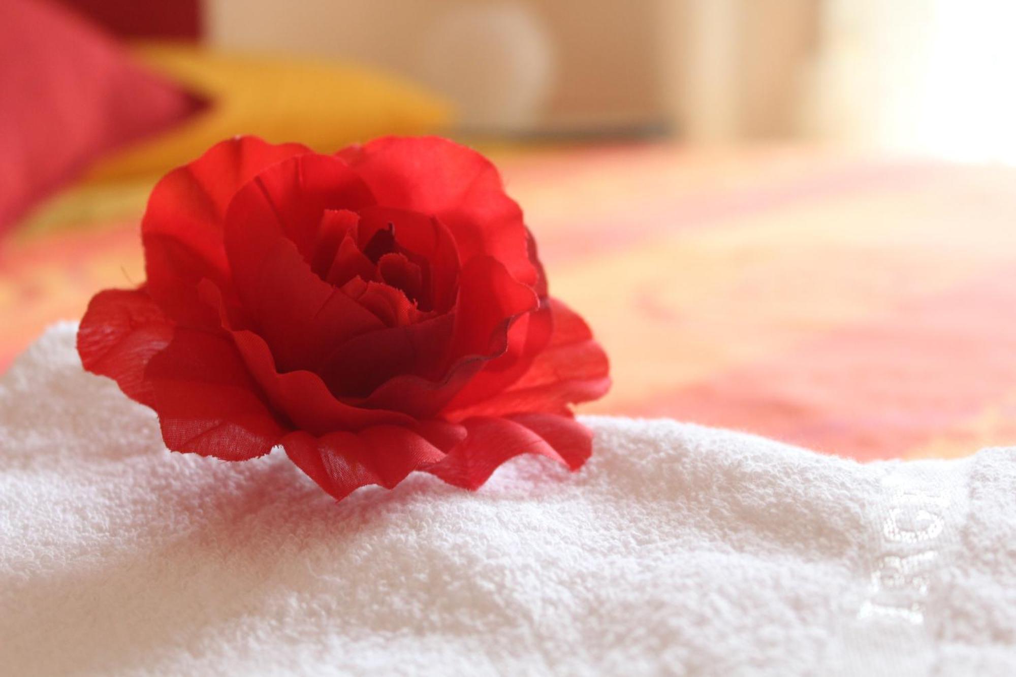 Colle Sul Mare Hotel Termoli Bilik gambar